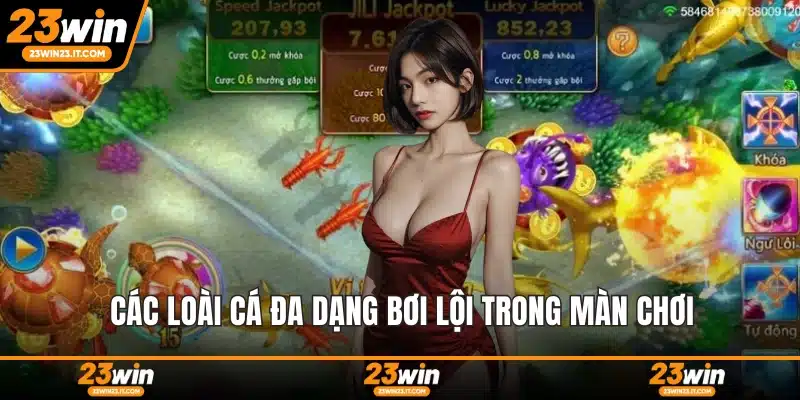 Các loài cá đa dạng bơi lội trong màn chơi